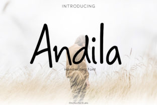 Andila: A Playful Display Font for Creative Branding
