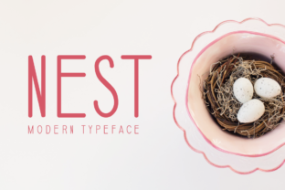 Nest: A Font for Thoughtful Editorial Design