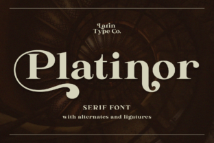 Platinor: A Serif Font for Editorial Excellence